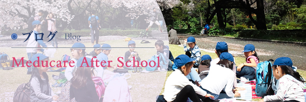 ～2015～国際理解教育【日本】