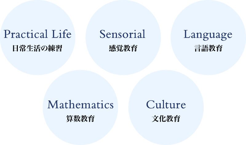 日常生活の練習/感覚教育/言語教育/算数教育/文化教育