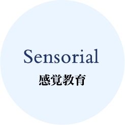 感覚教育